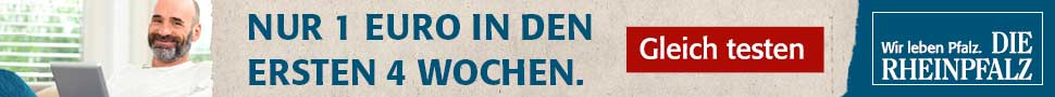 DIE RHEINPFALZ Google AdWords