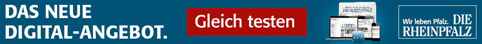 DIE RHEINPFALZ Google AdWords