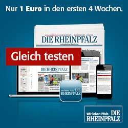 DIE RHEINPFALZ Google AdWords Displaykampagne