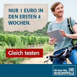 DIE RHEINPFALZ Google AdWords Displaykampagne